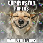 stoner-dog cool-cop