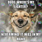 stoner-dog lighter