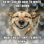 stoner-dog should-write-it-down