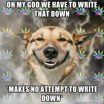 stoner-dog_should-write-it-down.jpg