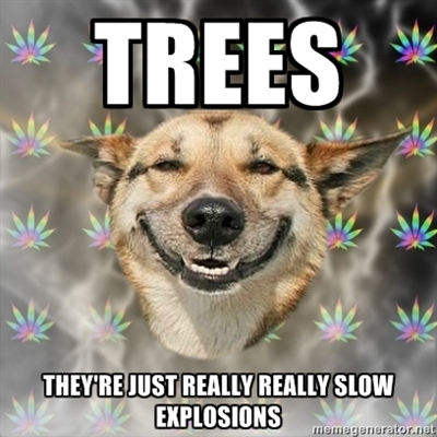 stoner-dog_trees.jpg